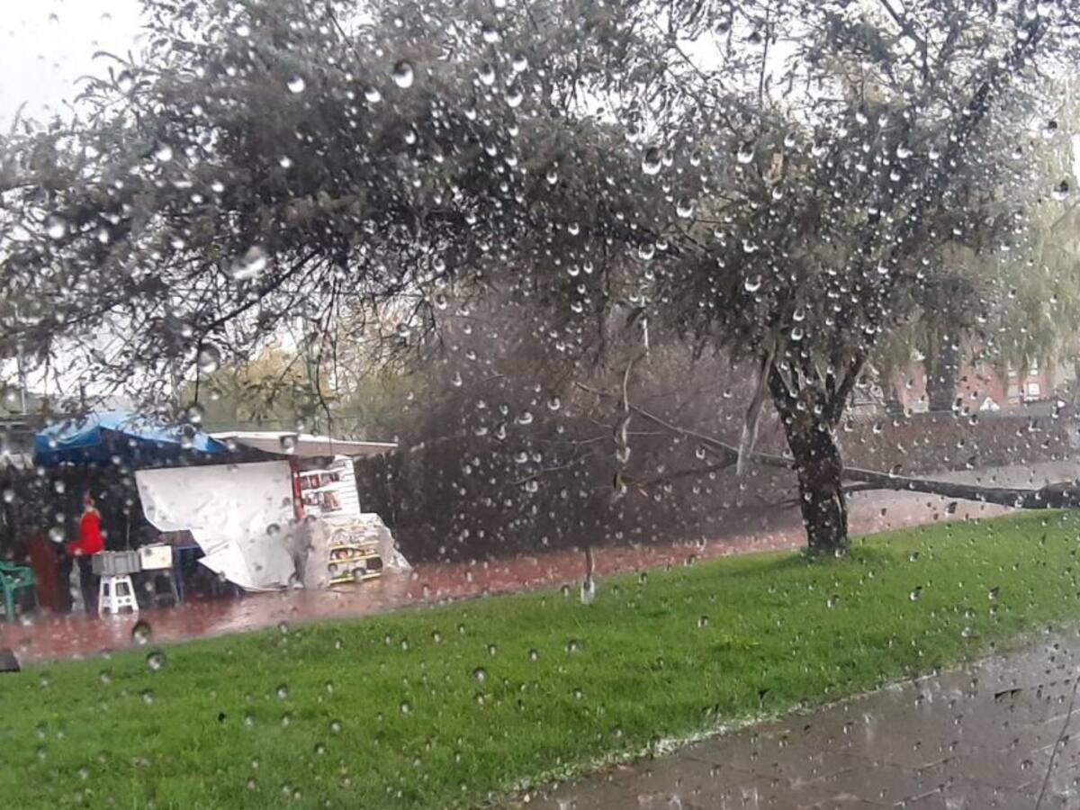 Derrumbes, caídas de árboles e inundaciones dejan las lluvias en Bogotá
