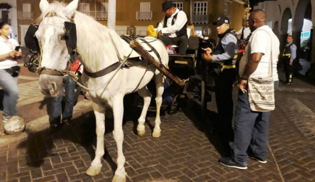 El Ministerio Público reiteró la necesidad de que las entidades distritales adopten medidas necesarias para garantizar la prestación de ese servicio