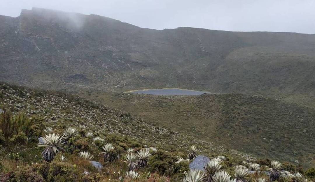 Páramo de Chingaza/ Cortesía: Jhon Barros, Colprensa
