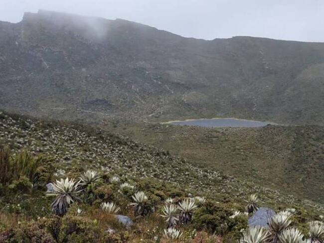 Páramo de Chingaza/ Cortesía: Jhon Barros, Colprensa