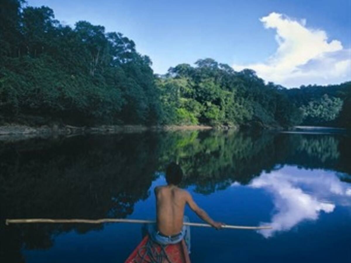 Tokio quiere cooperar con países que comparten bosques de Amazonía