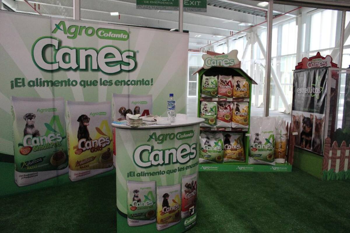 Así va la puesta en marcha de Expocolanta 2014