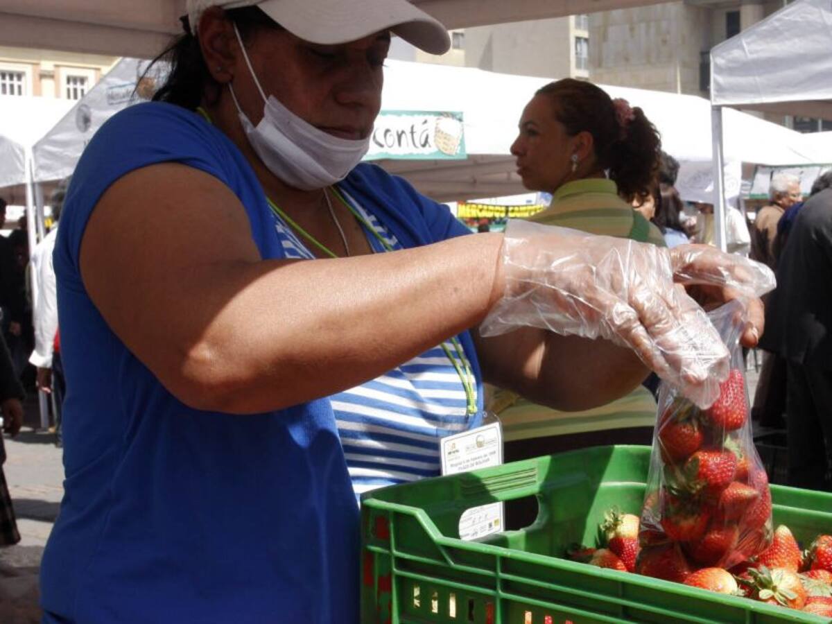 Mercados campesinos para reactivar el agro en Norte de Santander