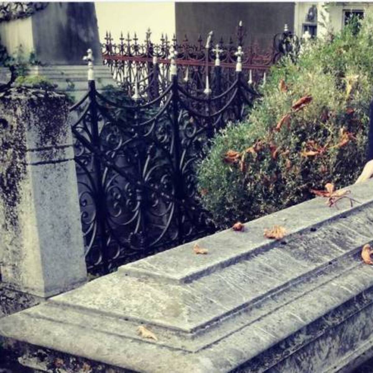 Andreas Bathory, el 'vampiro' humano que vive en Transilvania