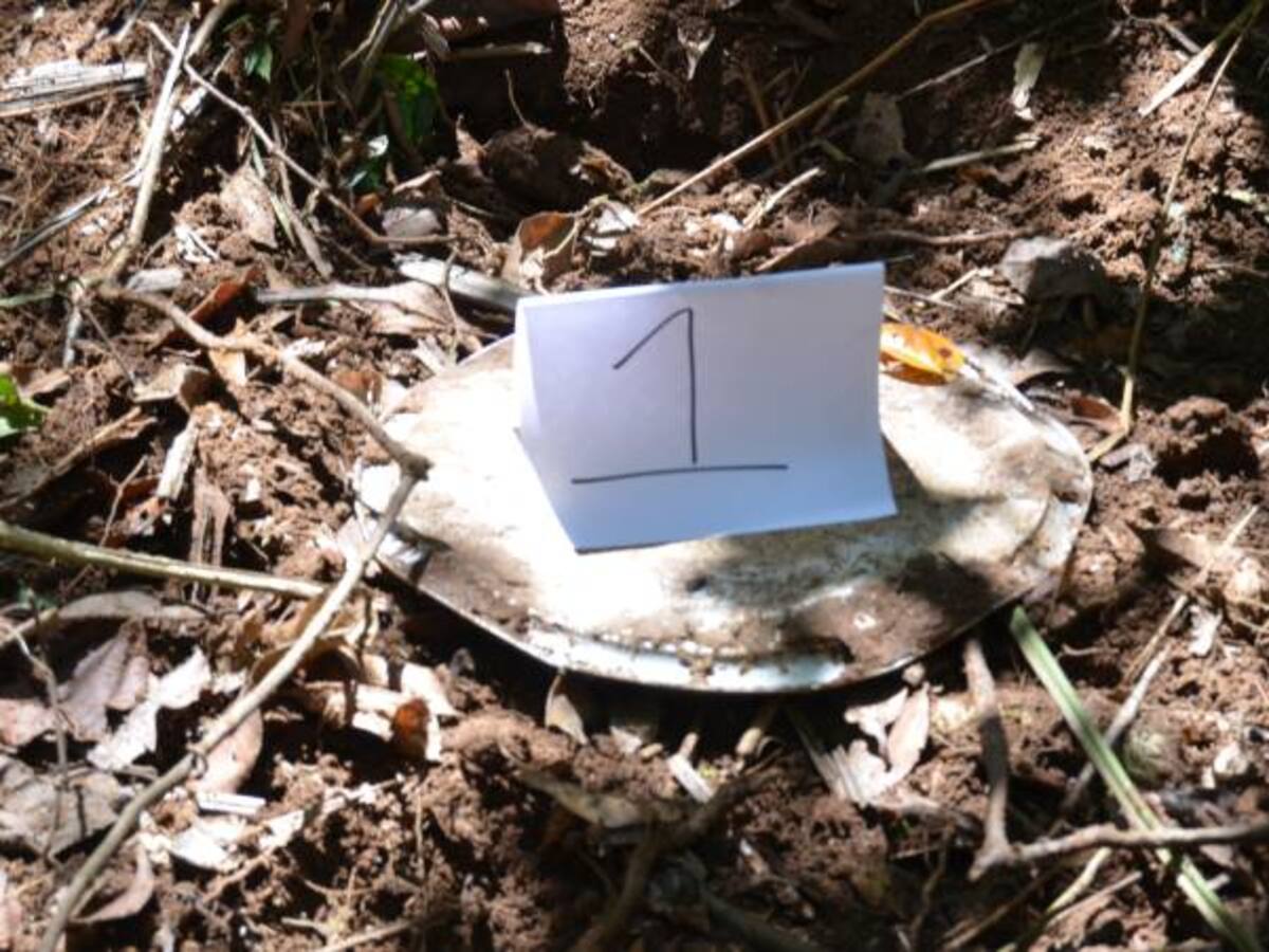 Ejército y ONU ha extraído 375 caletas de las Farc