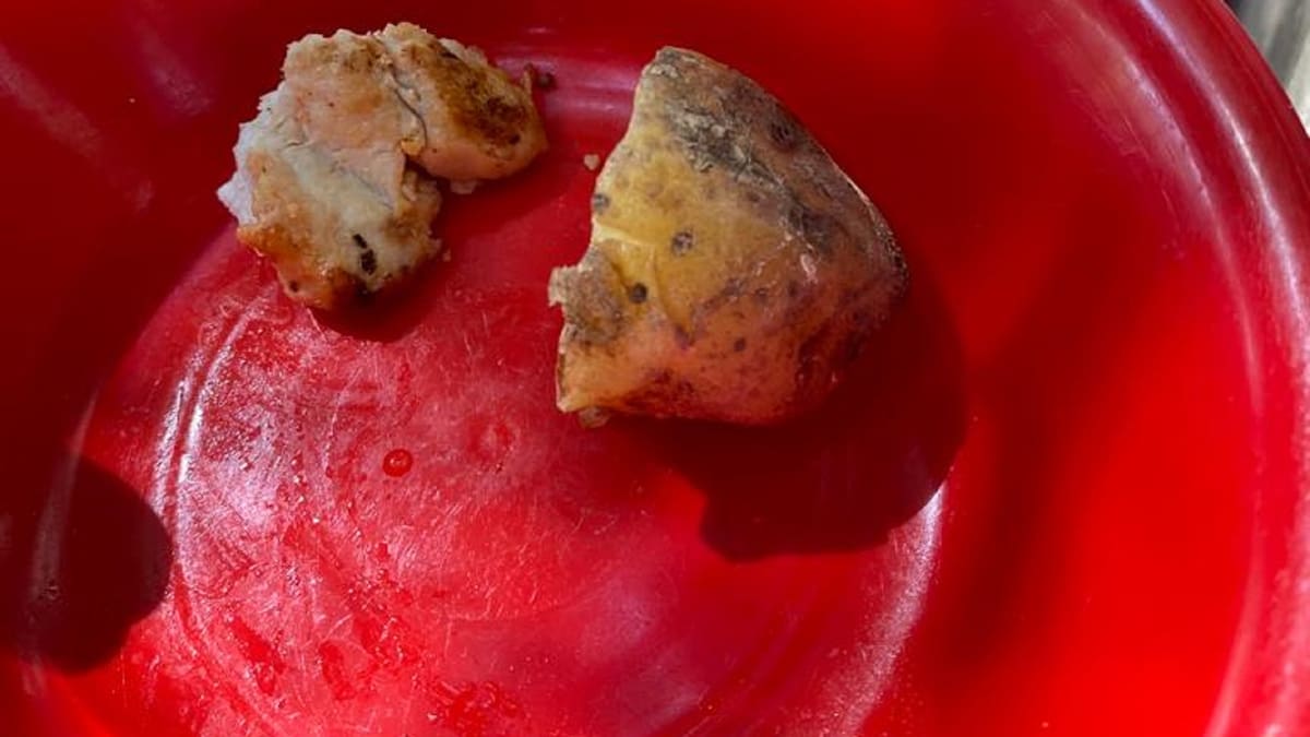 Alimentos con fecha de vencimiento se suministran en colegios de Neiva