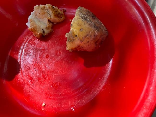 Padres de familia, docentes y estudiantes denuncian irregularidades en programa PAE