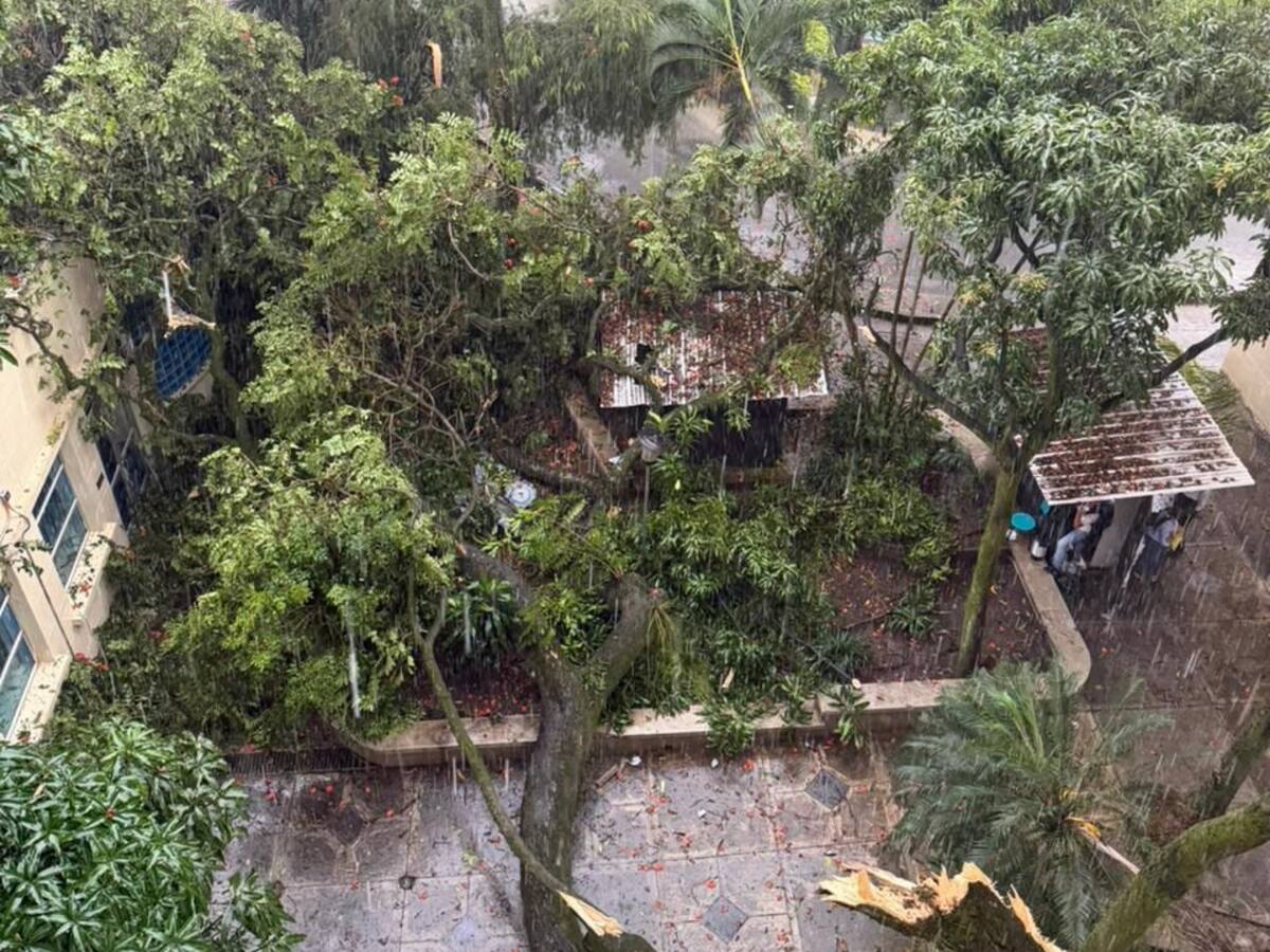 Lluvias en Cali superaron umbral internacional y dejaron granizo y fuertes vientos