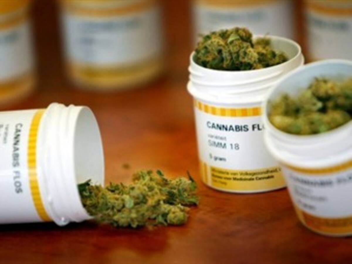 Desarrollan una marihuana medicinal que no produce efectos psicóticos
