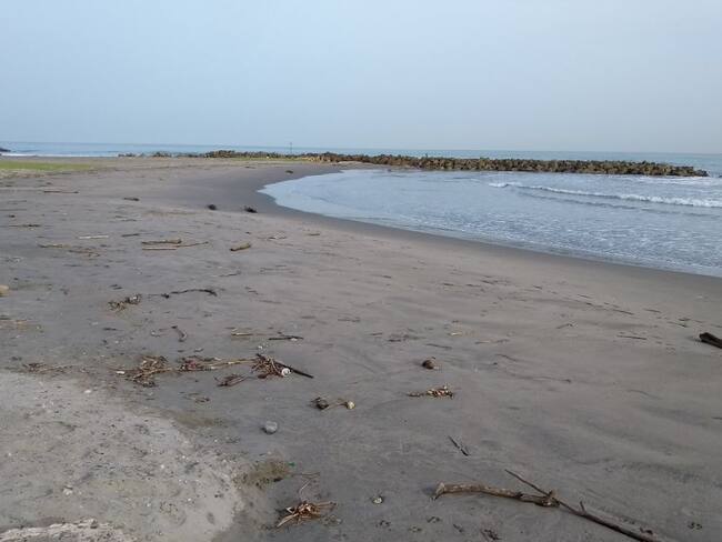 Gremios de Cartagena le piden a MinSalud autorizar reapertura de playas