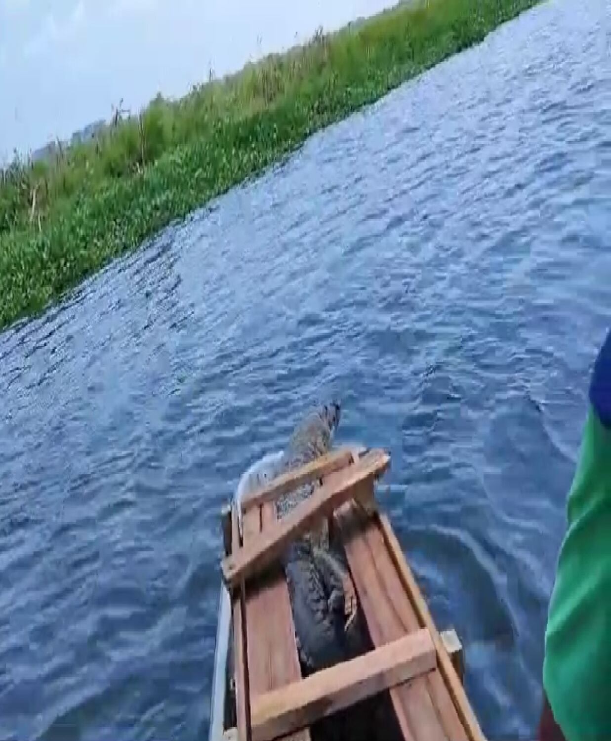 Captura de video