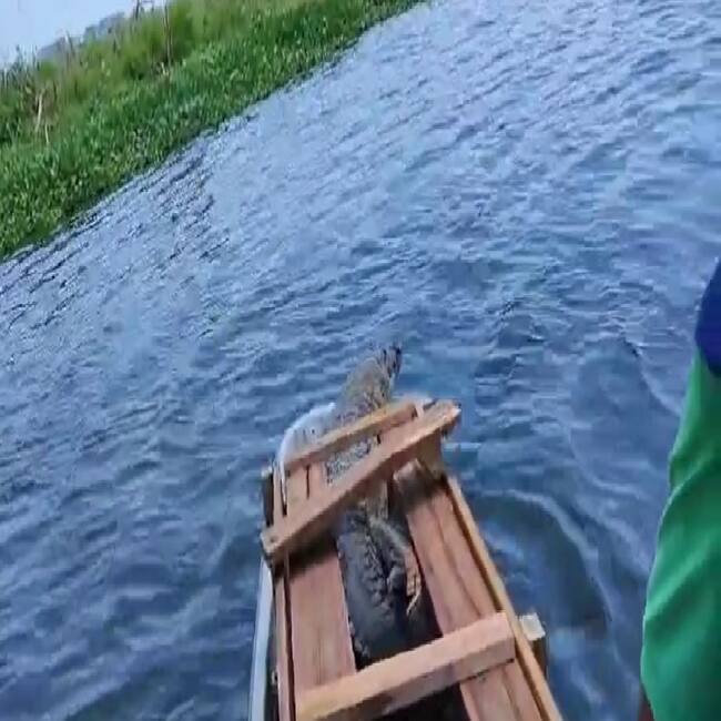 Captura de video