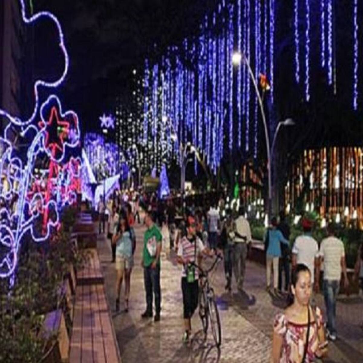 Este año no habrá alumbrado navideño en Cali