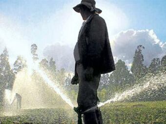 Agro en Colombia. Foto: El Tiempo