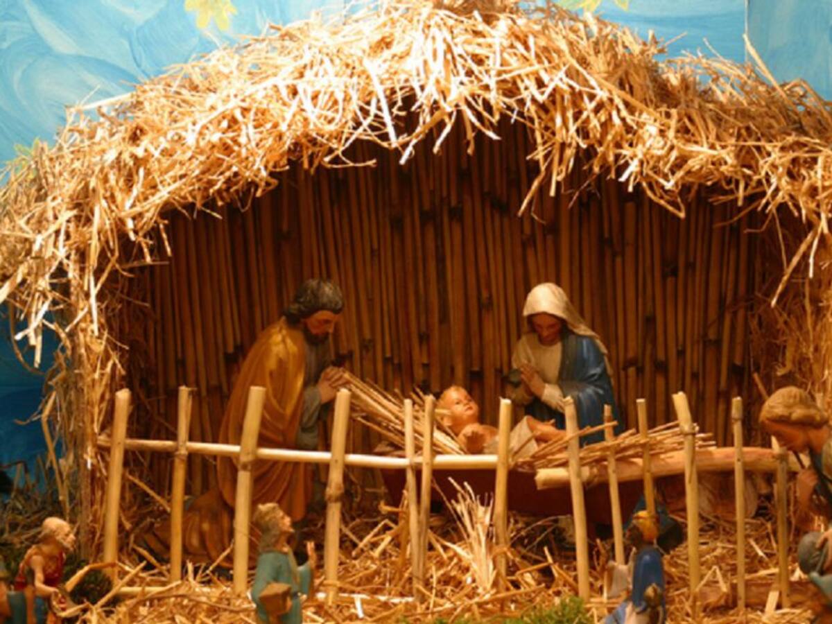 Este año su pesebre navideño puede ser más ecológico. Le decimos cómo