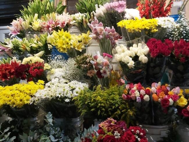 Floristería / Foto: Referencia