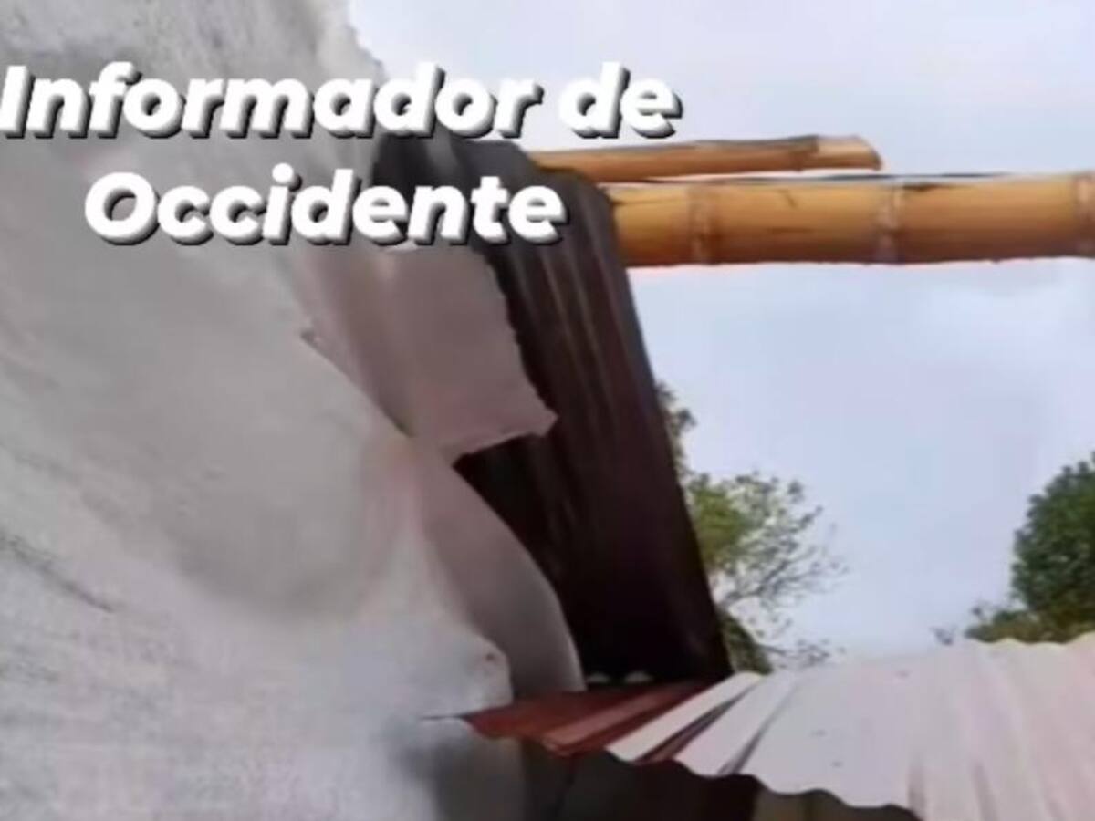 Un vendaval afectó la vereda Bellavista de Anserma, Caldas