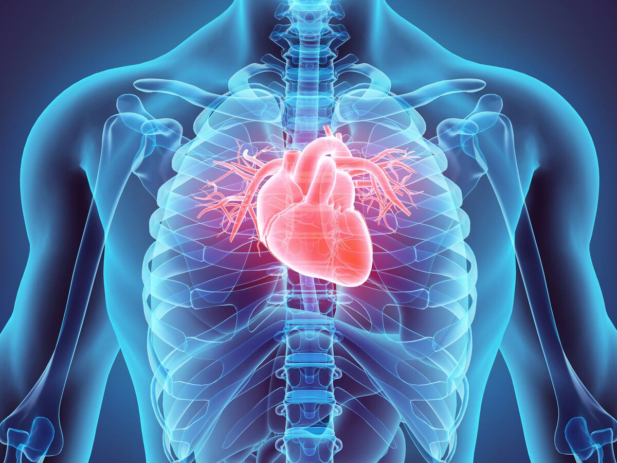 La fuerza del corazón va más allá de lo subjetivo, podría mover un carro hasta 32 km