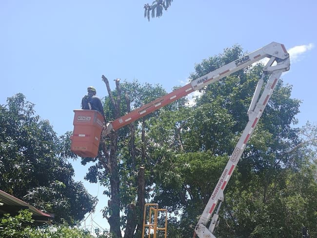 Un incendio en un área de cobertura vegetal. Foto bomberos Neiva.