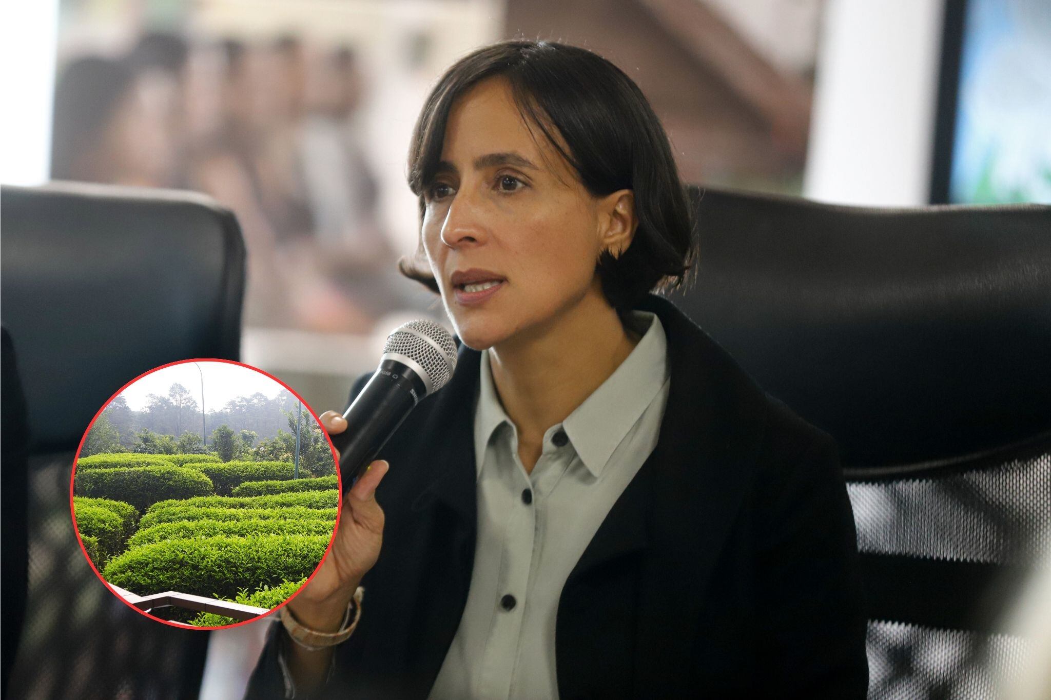 Ministra de Ambiente, Susana Muhamad e imagen de referencia sobre herbario. / Vía Colprensa y Getty Images