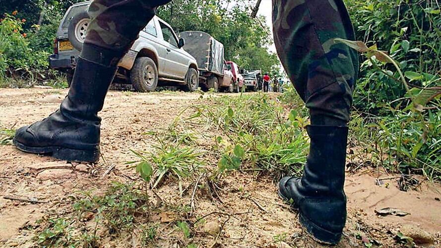 Imagen de referencia. Foto: Colprensa