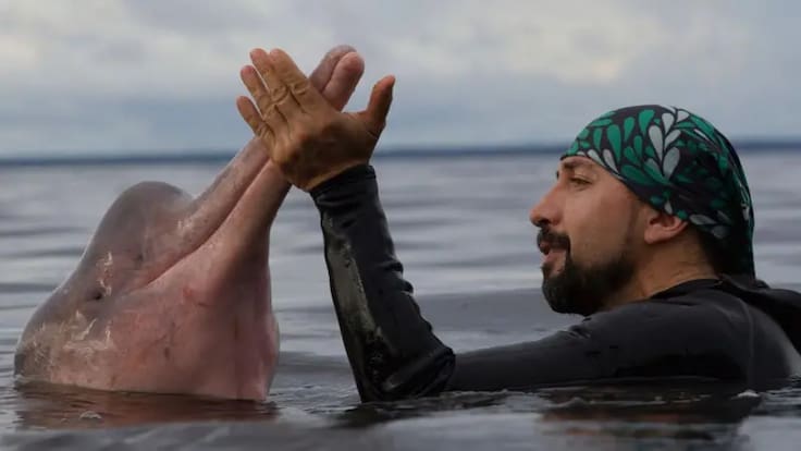 Un colombiano ingresa al consejo directivo de Exploradores de National Geographic