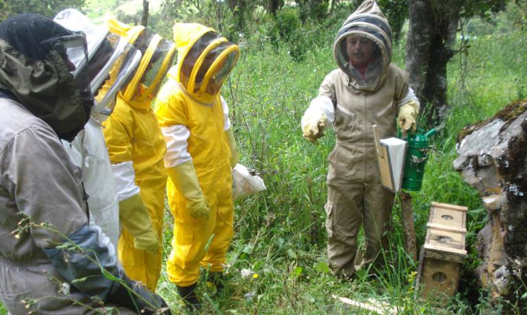 Foto suministrada a Caracol Radio por la doctora Andrea Fajardo, Colectivo Abejas Vivas. Todos los derechos reservados.