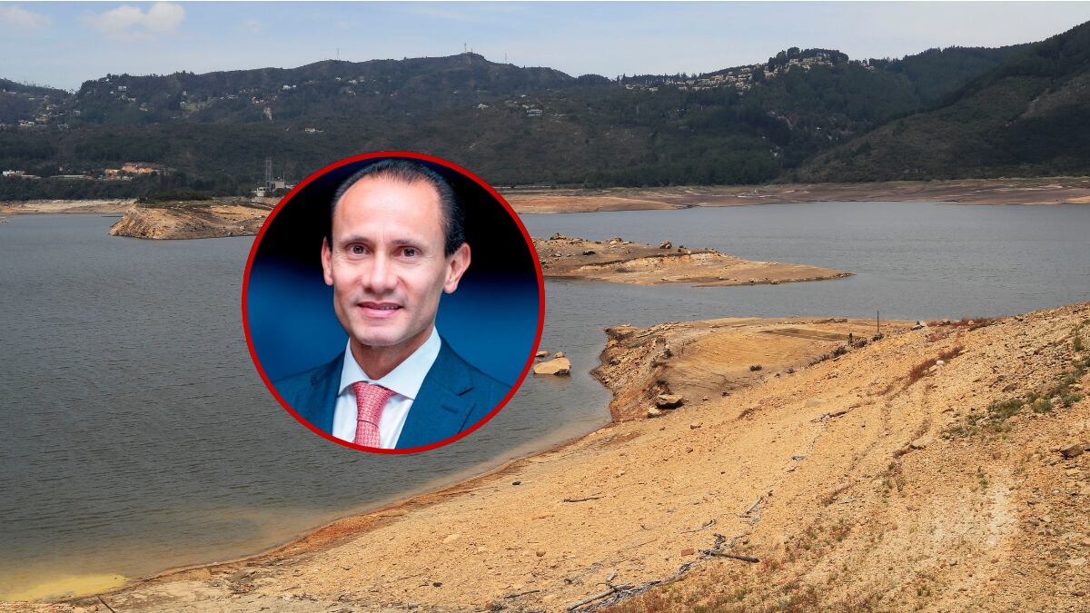 Alejandro Castañeda, gerente de la Asociación Nacional de Empresas Generadoras (Andeg)