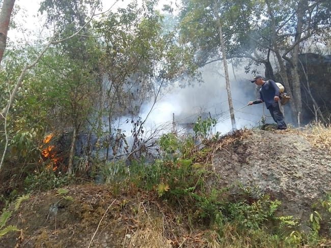 Advierten una probabilidad del 62% de que se presenten condiciones asociadas al fenómeno de El Niño. Foto Relacionada