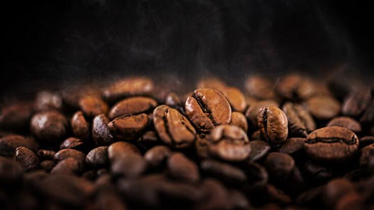 Mujeres campesinas del Huila se asocian para impulsar producción de café