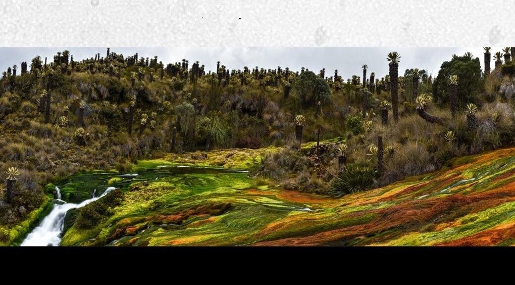 “Cascada de los siete colores”, ganadora Categoría de Turismo de Naturaleza