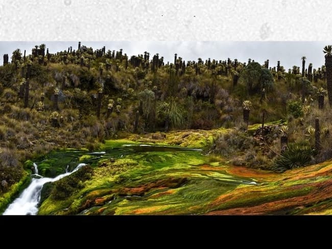 “Cascada de los siete colores”, ganadora Categoría de Turismo de Naturaleza