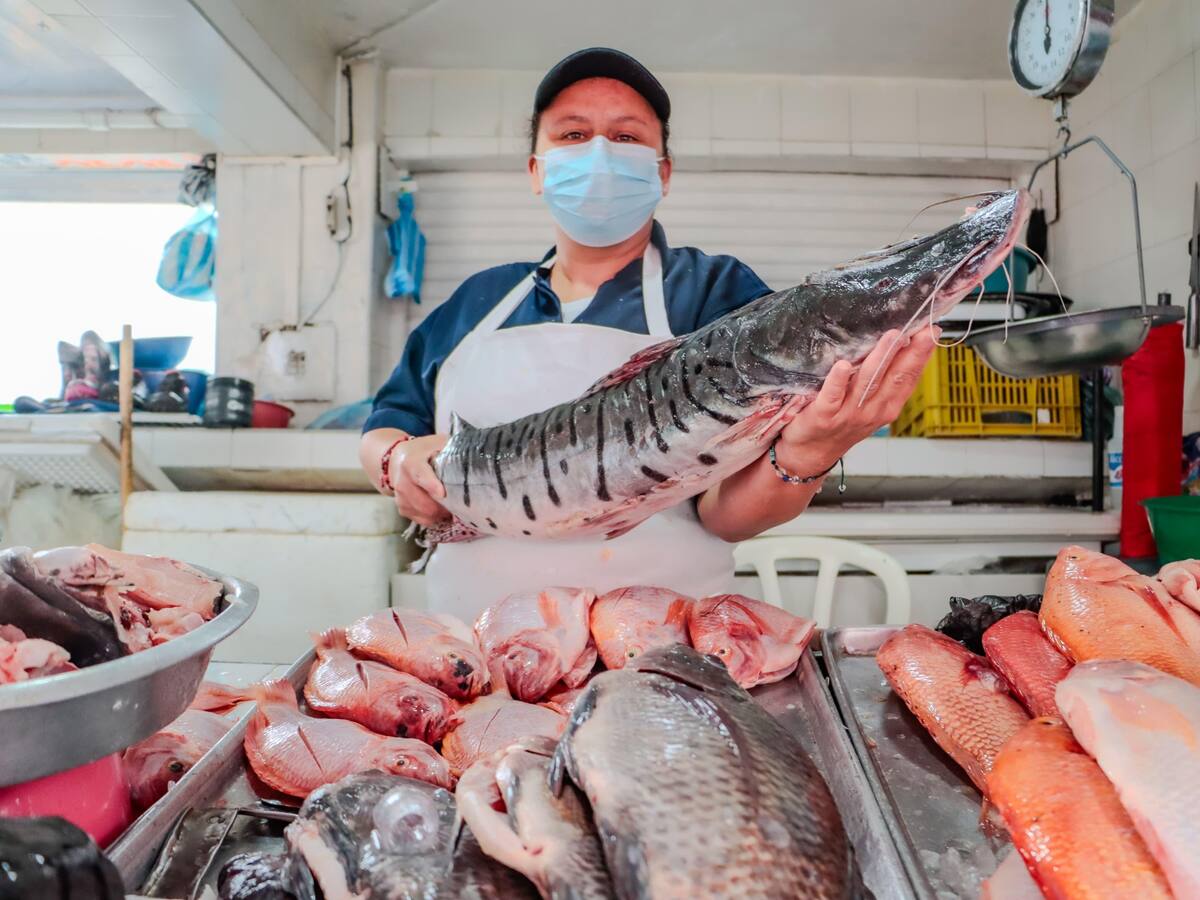 Semana Santa en Ibagué: tradición, reflexión y buen pescado