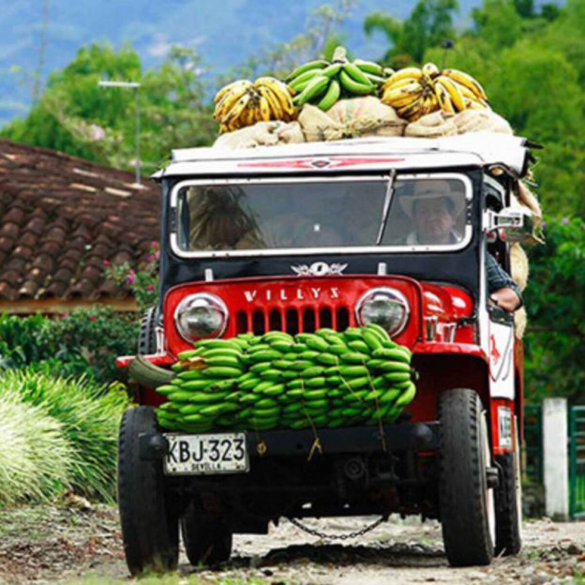 Paisaje Cultural Cafetero cumple 10 años de ser patrimonio de la humanidad