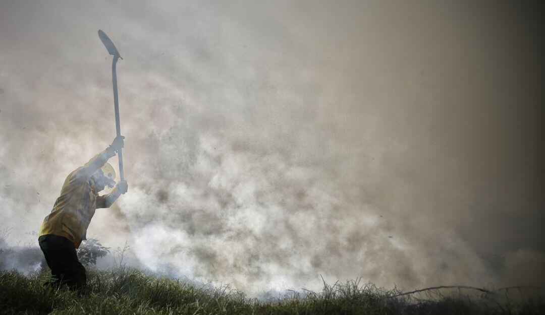 Imagen de referencia