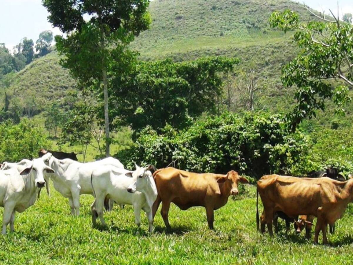 Por falta de póliza millonario convenio fue suspendido en el Huila