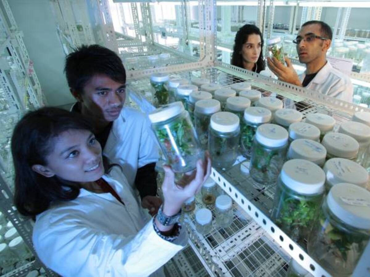 Estas son las mejores universidades en el país en investigación