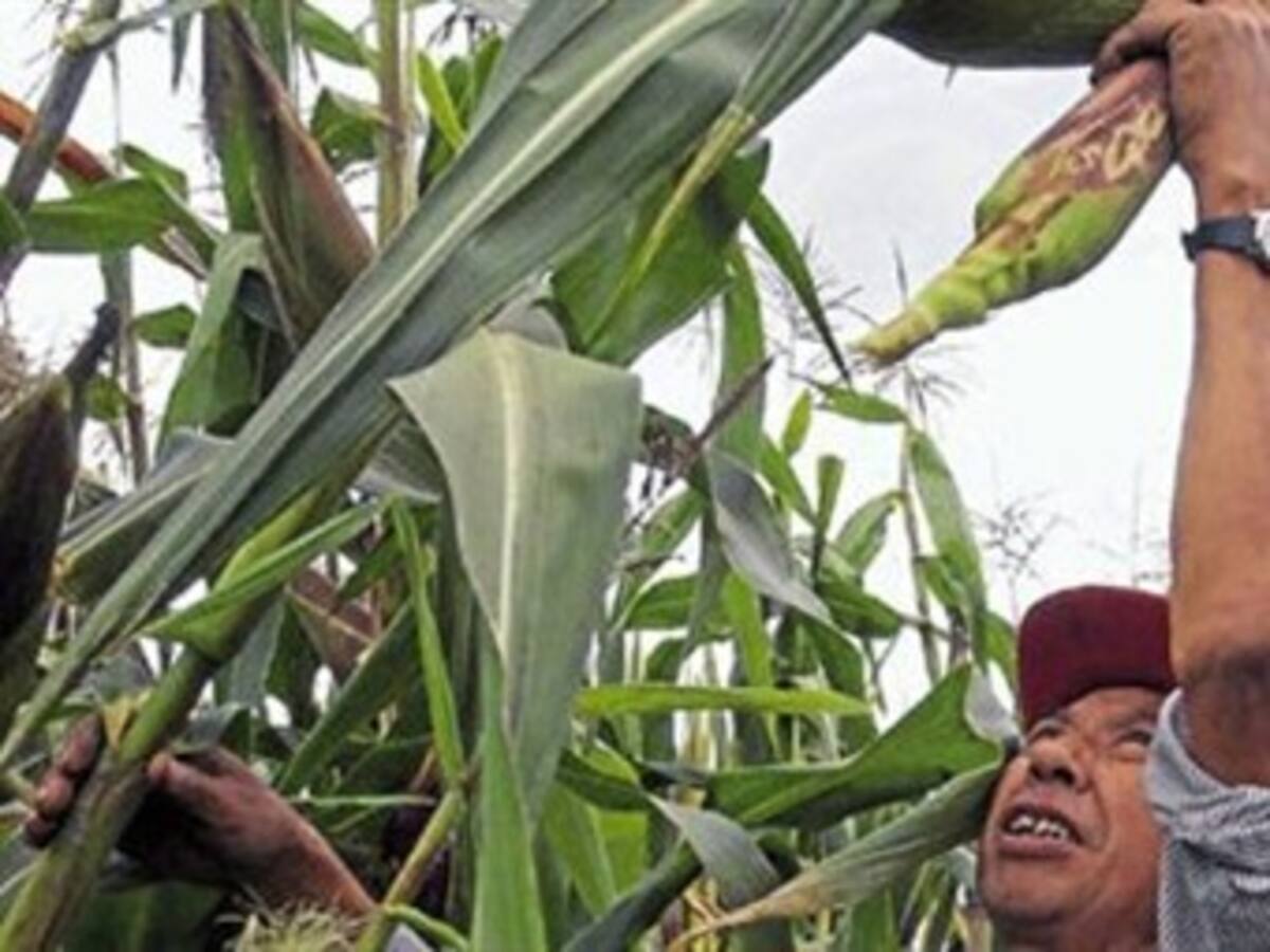 Sector agropecuario convocó un paro a partir del 19 de agosto