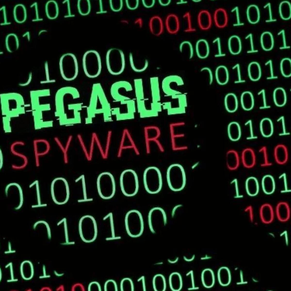 Compra de Pegasus fue bastante irregular: director de Veeduría de Defensa del WOLA