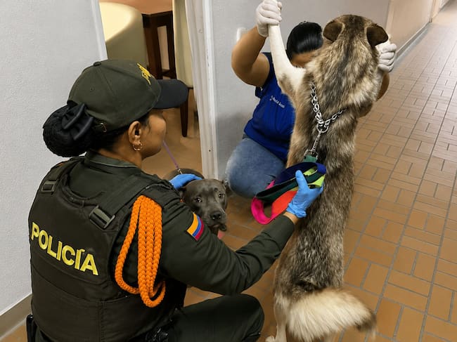 Foto: Alcaldía de Bello