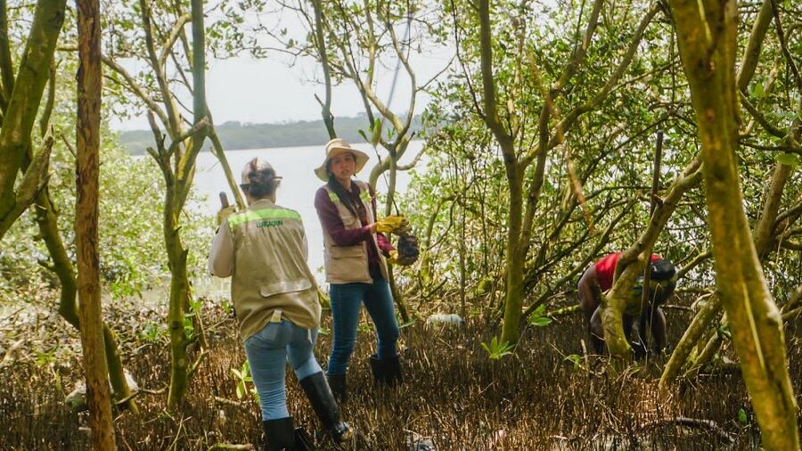 Alcaldía de Cartagena