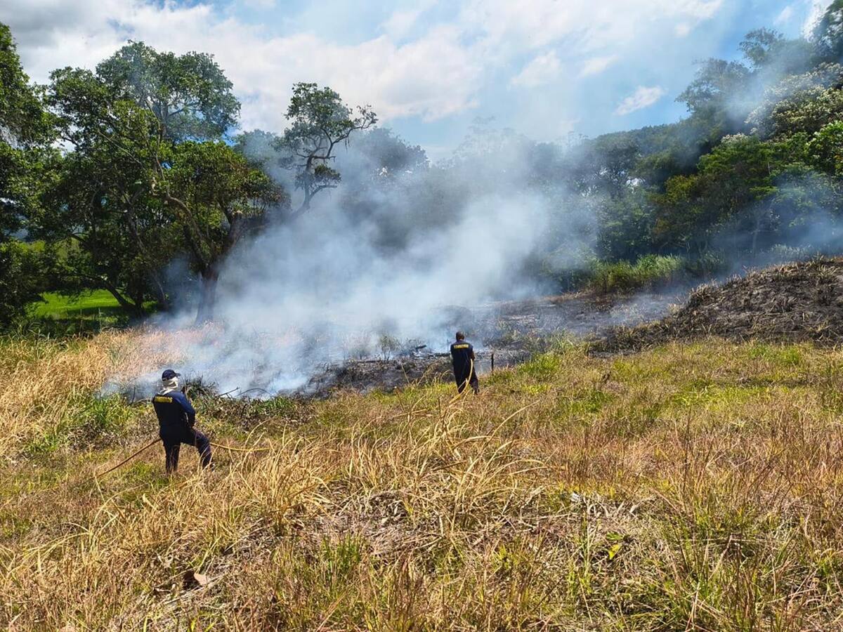 Bomberos de Ibagué han atendido más de mil incendios forestales en el 2026