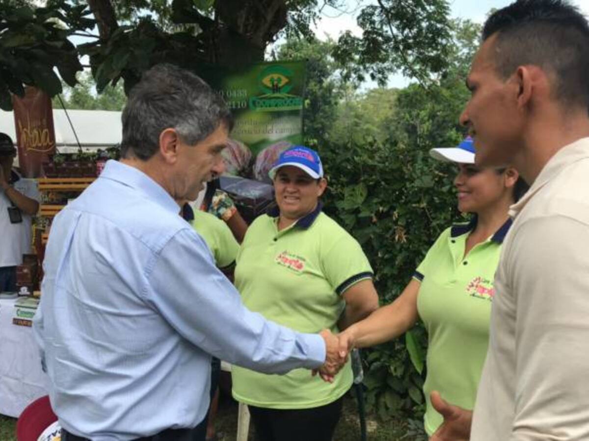 Para Junio, 10 departamentos serán exitosos en sustitución de cultivos