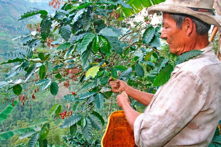 Foto: Colprensa (referencia).