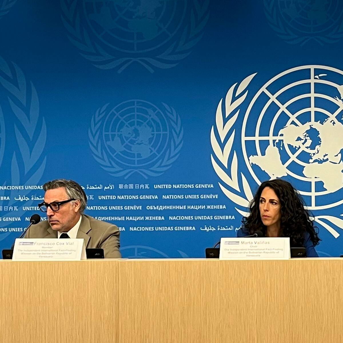 Misión de la ONU para Venezuela: Gobierno comete crimen de lesa humanidad de persecución