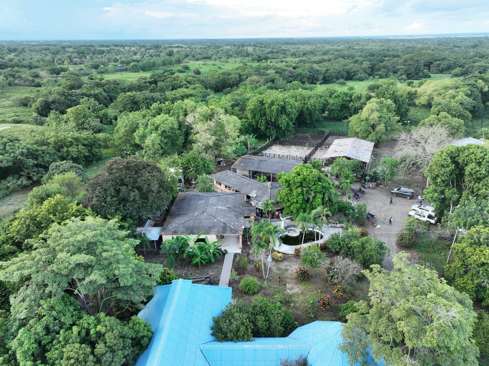 La SAE recupera 29 predios de alias ‘La Gata’ en Bolívar para beneficio de familias campesinas