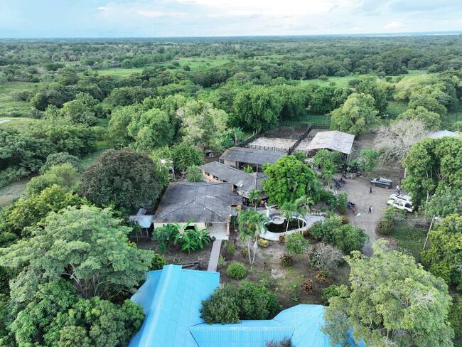 La SAE recupera 29 predios de alias ‘La Gata’ en Bolívar para beneficio de familias campesinas