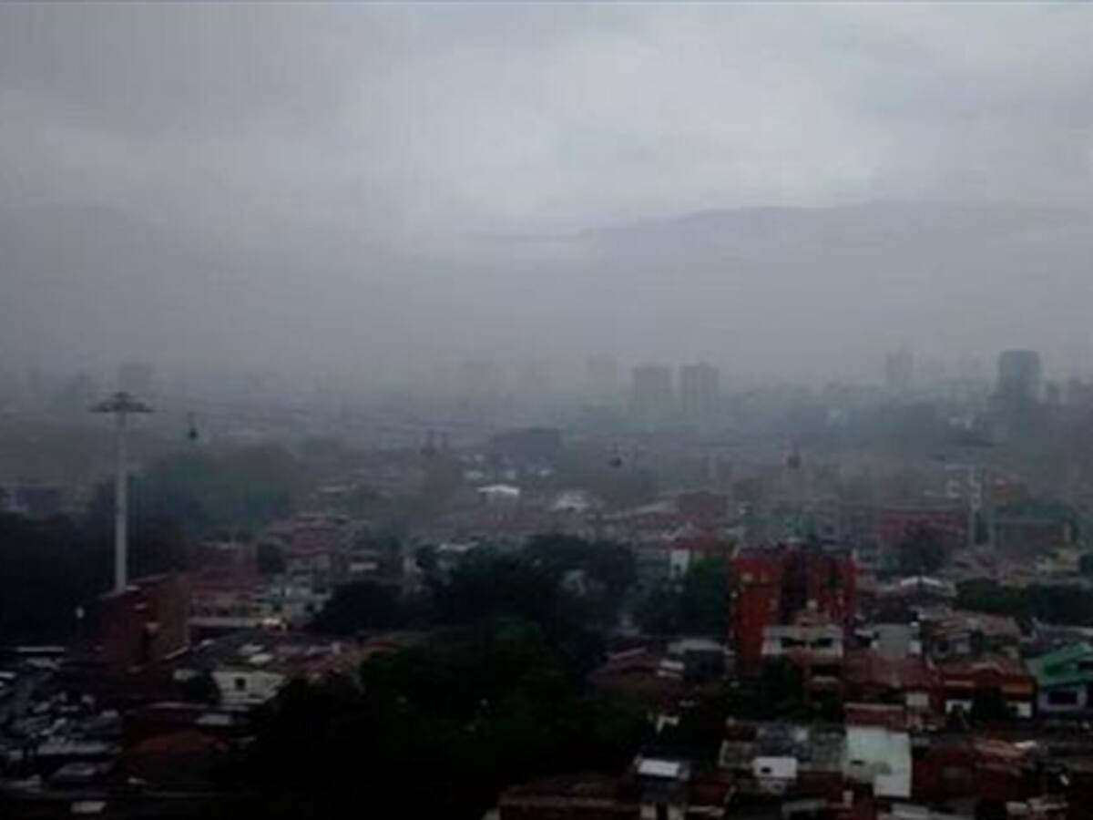 Intempestivo aguacero en Medellín derribó árboles en varios sitios
