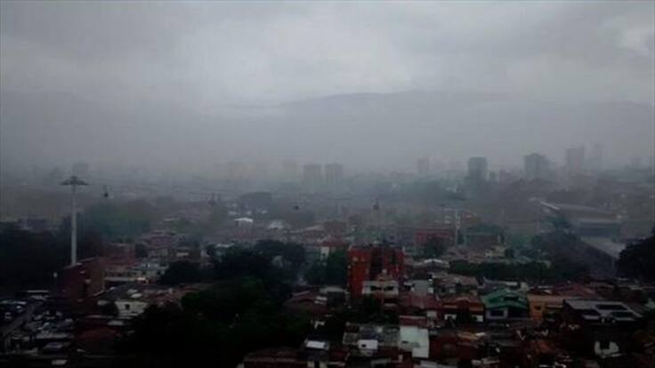 Intempestivo aguacero en Medellín derribó árboles en varios sitios