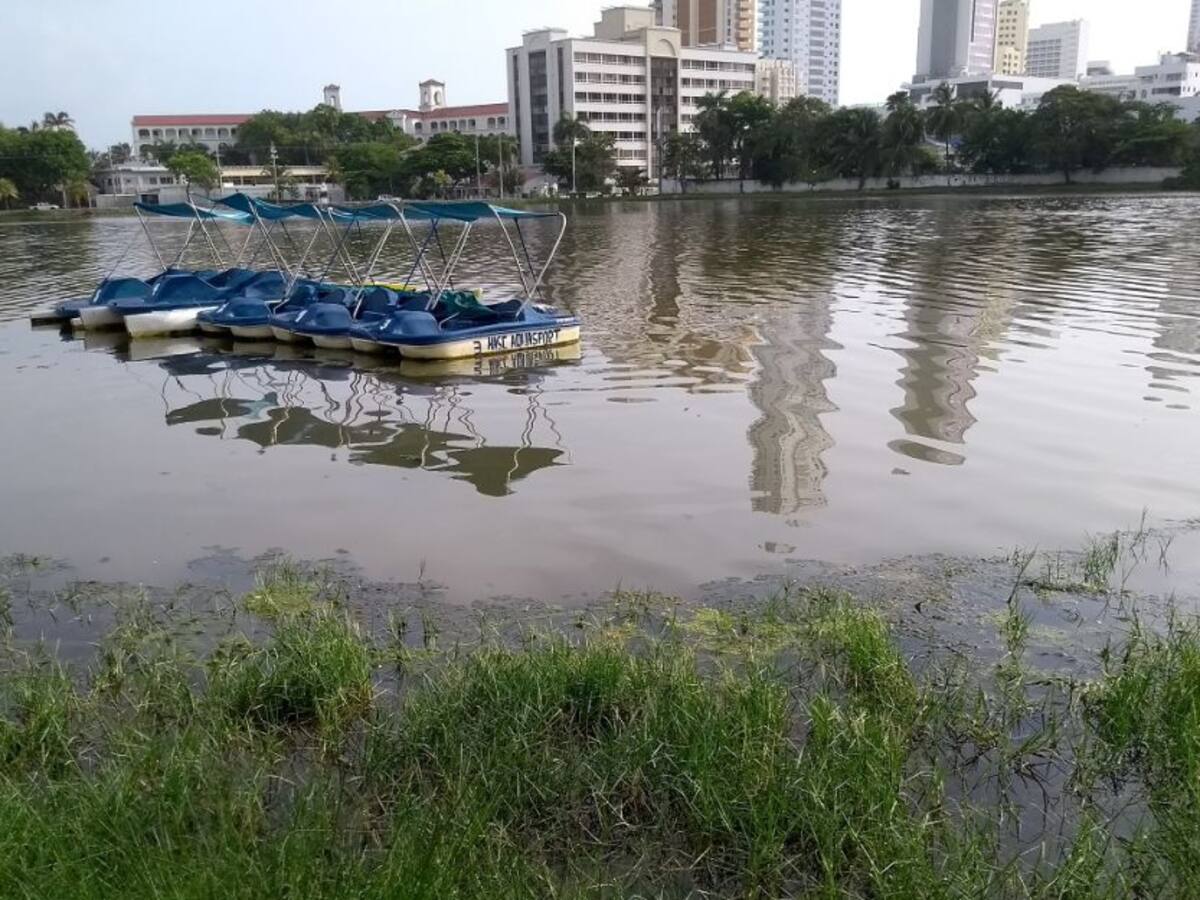 Director del EPA asegura que la protección costera mejorará a El Laguito